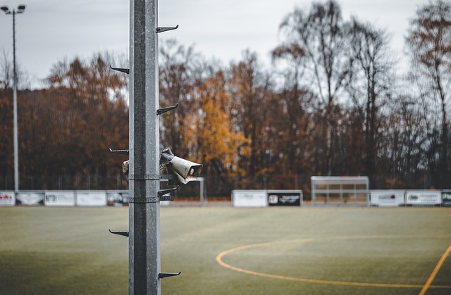 他的转会对 他的转会对