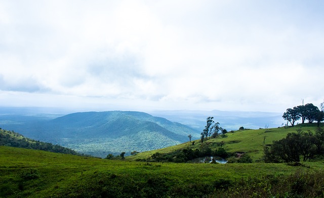 通过体育活 通过体育活