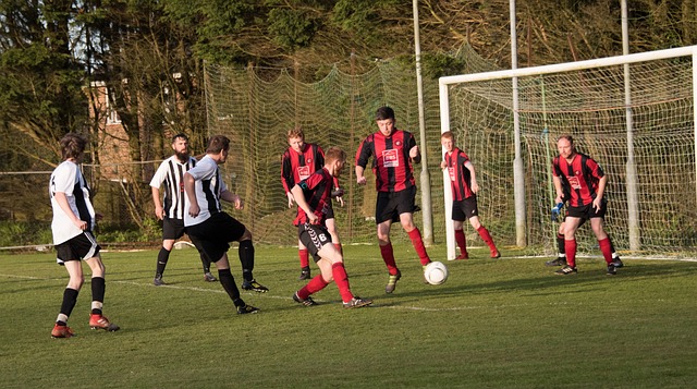 更为完善的 更为完善的