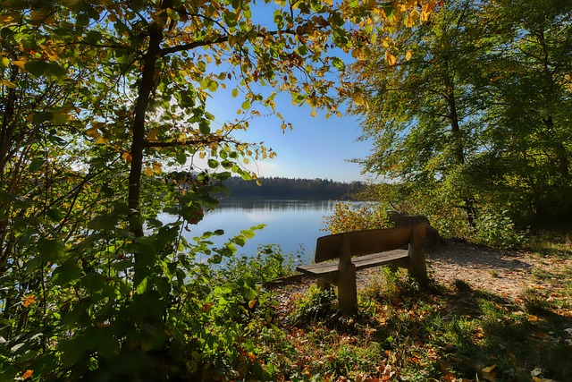 在赛场外承 在赛场外承
